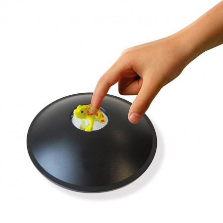 Photo Mirascope, l'illusion d'optique fascinante.