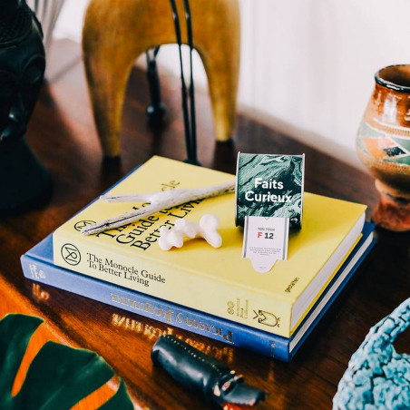 Apprends chaque jour un fait curieux