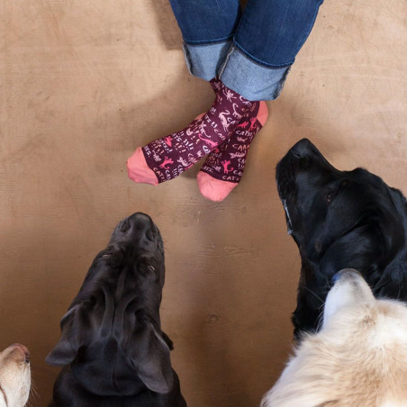 Chaussettes Femme Chats