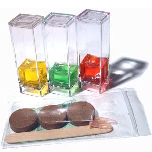 Mini laboratoire de botanique