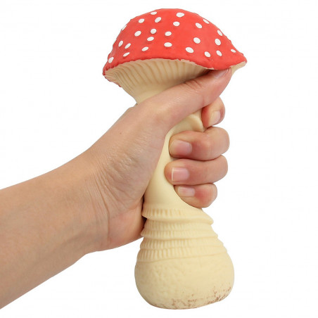 Champignon anti-stress