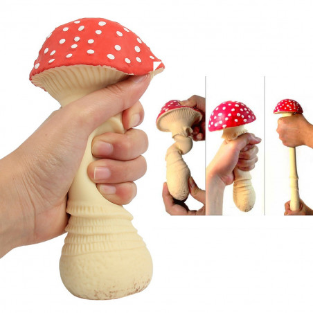 Champignon anti-stress