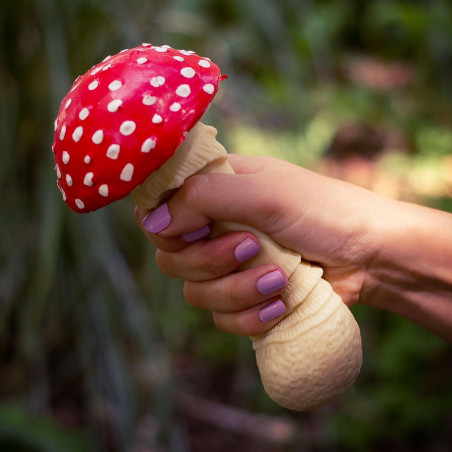 Champignon anti-stress