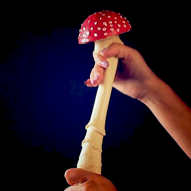 Champignon anti-stress