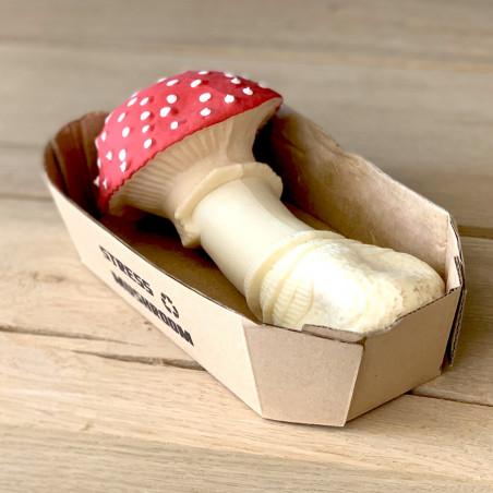 Champignon anti-stress