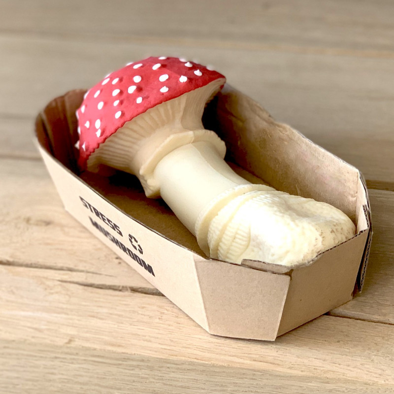 Champignon anti-stress