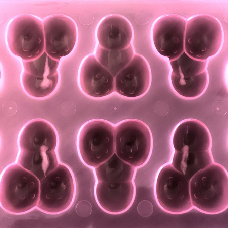 Moule à glaçons Zizi