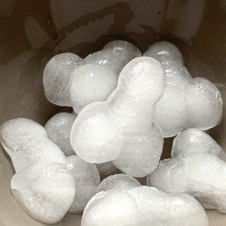 Moule à glaçons Zizi