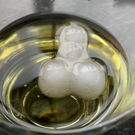 Moule à glaçons Zizi