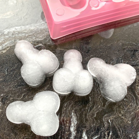 Moule à glaçons Zizi