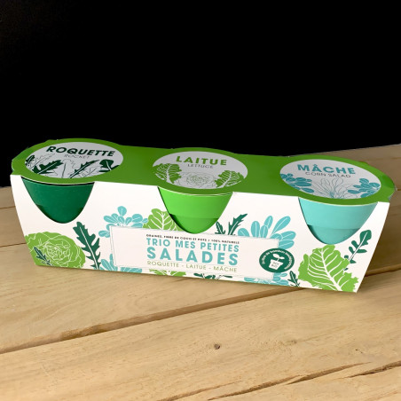 Trio salades à faire pousser