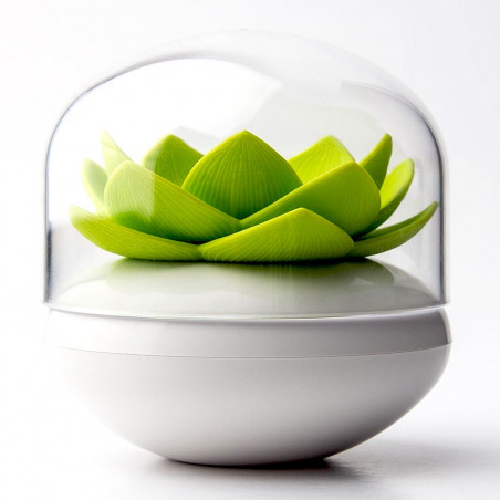 Lotus distributeur cotons-tiges ou cure-dents