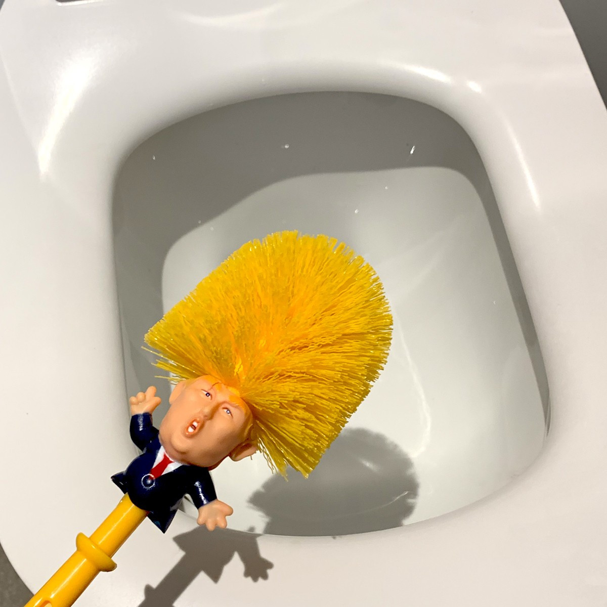 Brosse Toilette Trump  Ma Brosse De Toilette