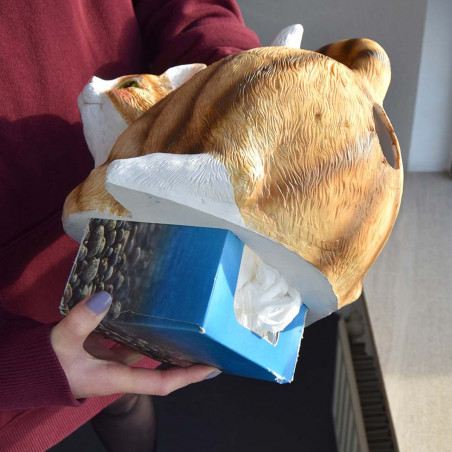 Chat distributeur de mouchoirs