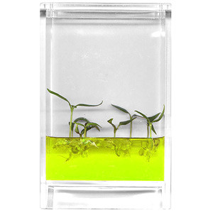 Vente Plantarium Lumineux