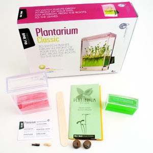 Photo Plantarium Lumineux