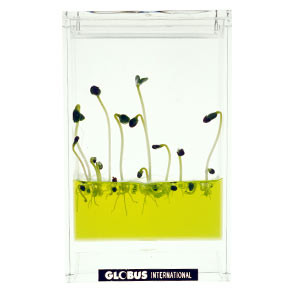 Plantarium Lumineux