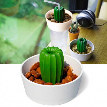 Cacnuts, le bol cactus apéro 2 en 1