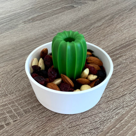 Cacnuts, le bol cactus apéro 2 en 1
