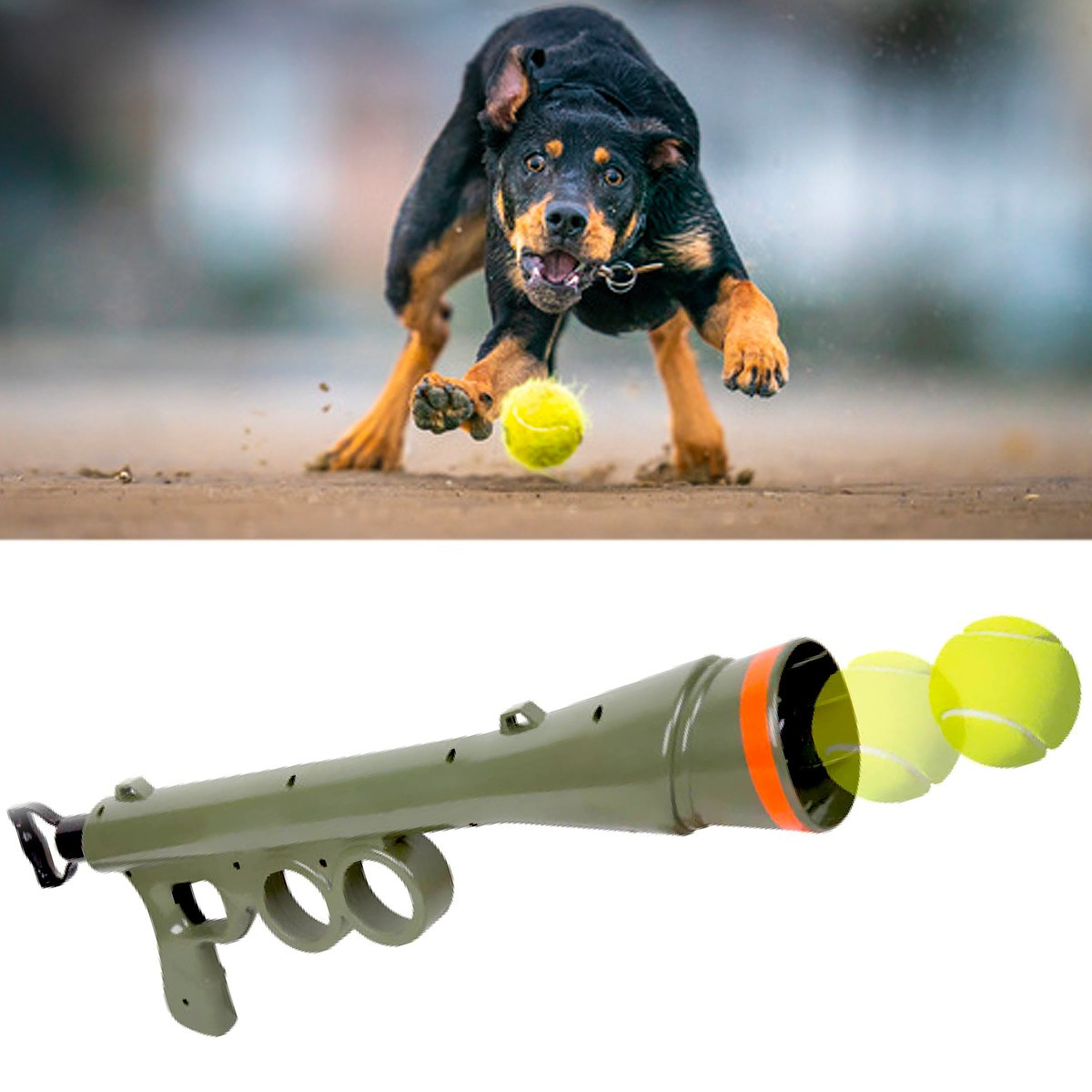 Balle de tennis pour chien