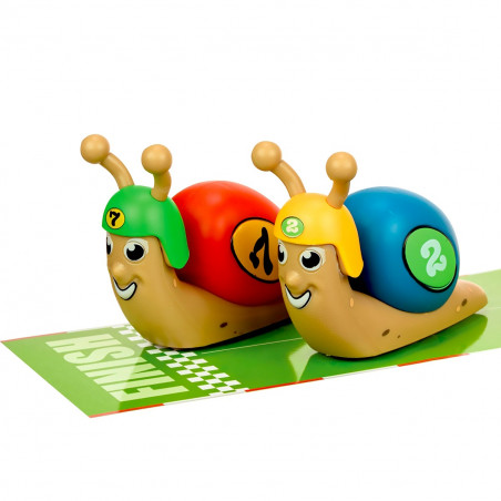 Paire d'escargots de compétition