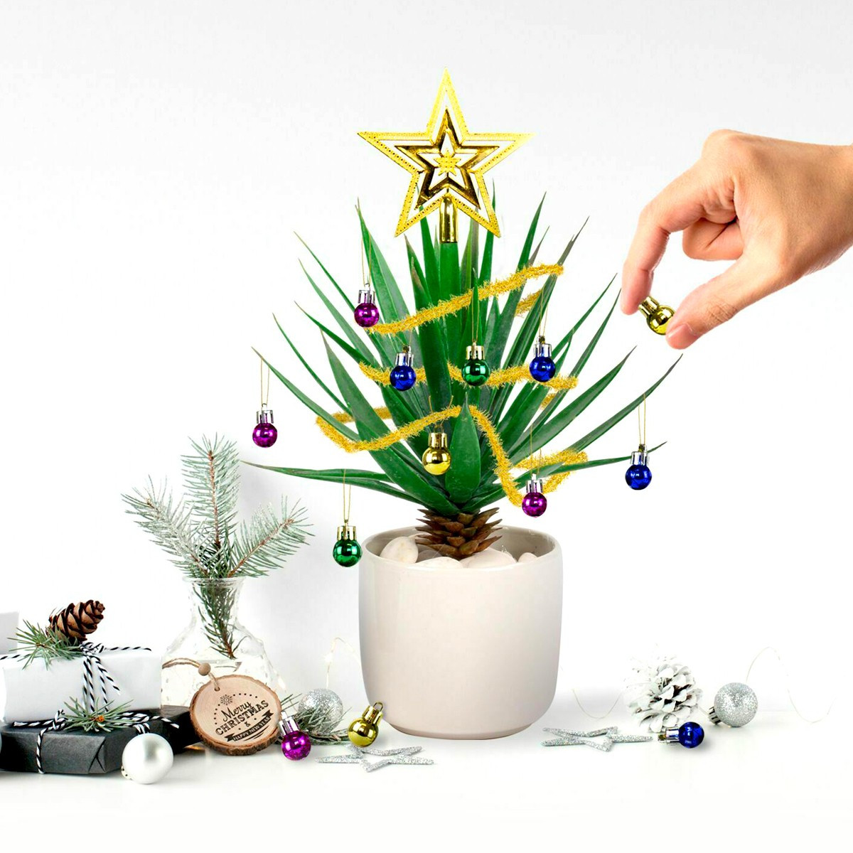 Kit décoration festive pour plante - 10,16 €
