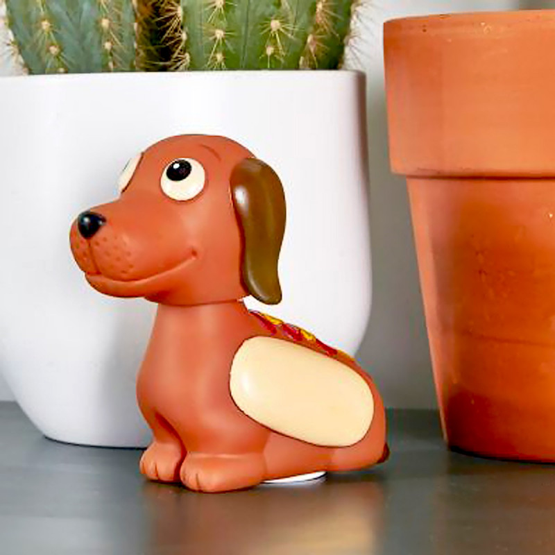 Chien saucisse