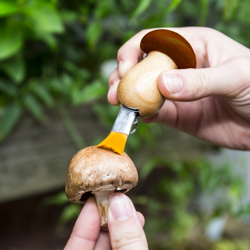 Outil multifonction pour champignons