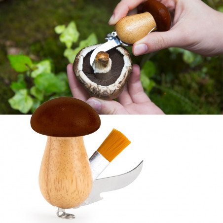 Outil multifonction pour champignons