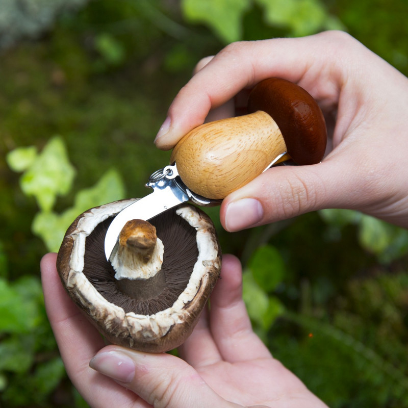 Outil multifonction pour champignons