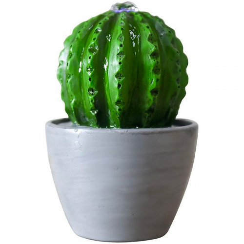 Fontaine cactus
