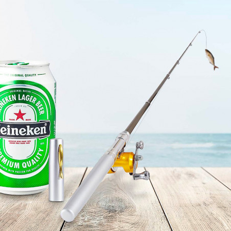 Canne à pêche de poche