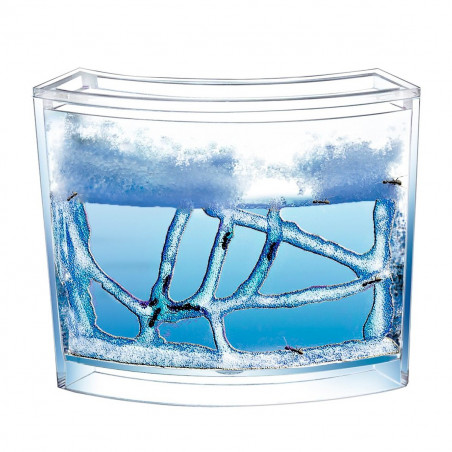 Photo Super Fourmilière Deluxe