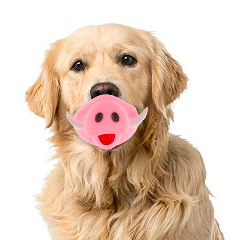 Lot de 2 jouets bouches amusantes pour chien