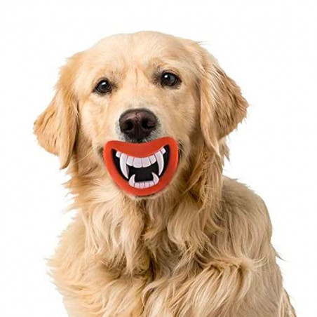 Lot de 2 jouets bouches amusantes pour chien