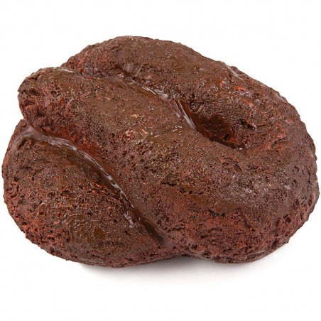 cache-clés en forme de crotte de chien - mycrazystuff.com