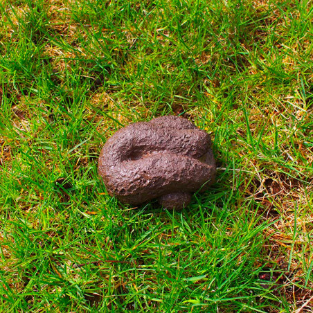 cache-clés en forme de crotte de chien - mycrazystuff.com