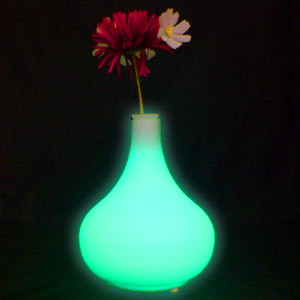 Photo Vase Led lumineux