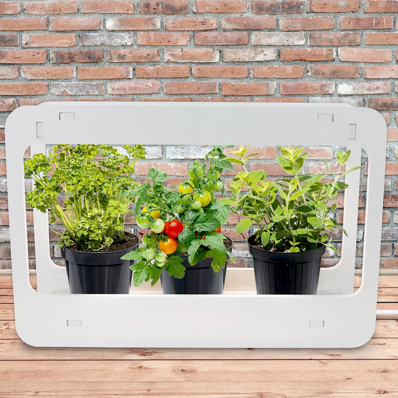 Lampe potager d'intérieur