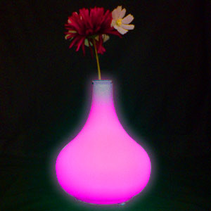 Vase Led lumineux