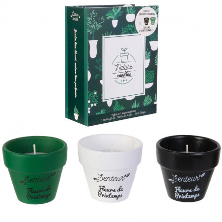 Coffret 3 bougies Nature