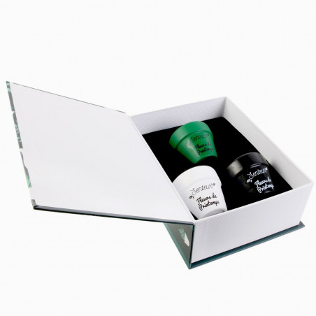 Coffret 3 bougies Nature