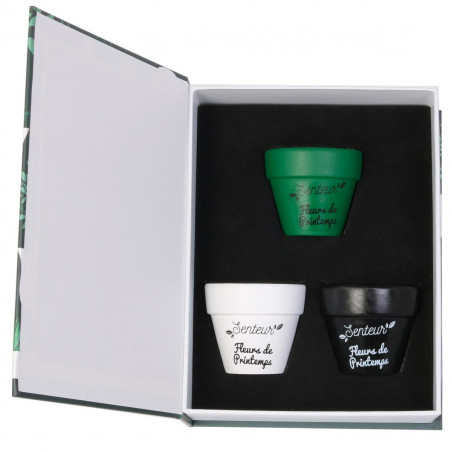 Coffret 3 bougies Nature