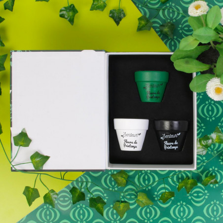 Coffret 3 bougies Nature