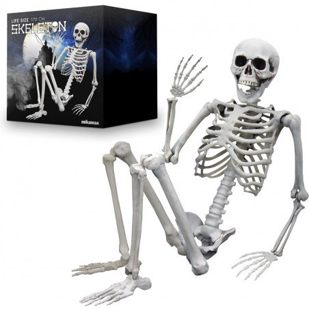 Eugène_Squelette_Farceur_MyCrazyStuff