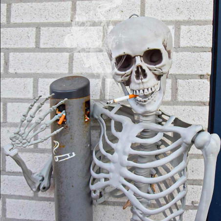 Eugène_Squelette_Farceur_MyCrazyStuff