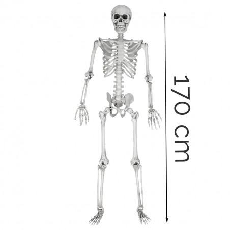 Eugène_Squelette_Farceur_MyCrazyStuff