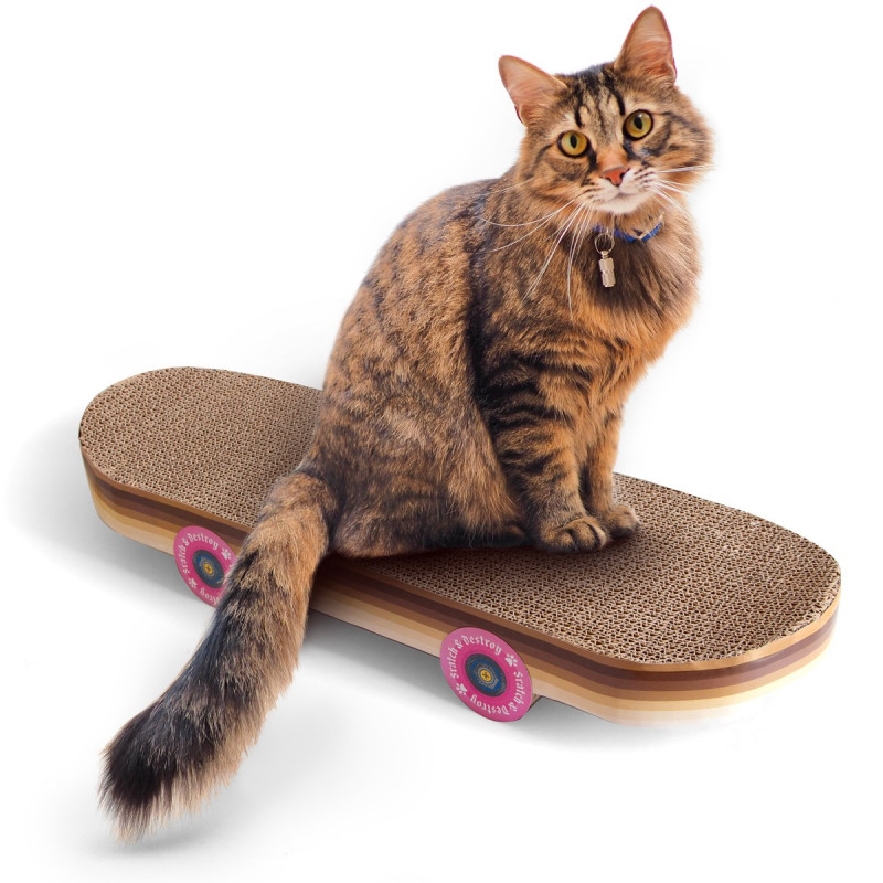 Grattoir skateboard pour chat
