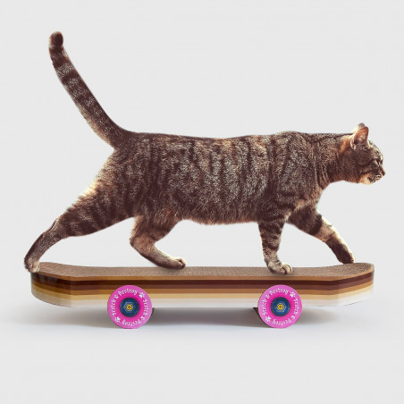 Grattoir skateboard pour chat