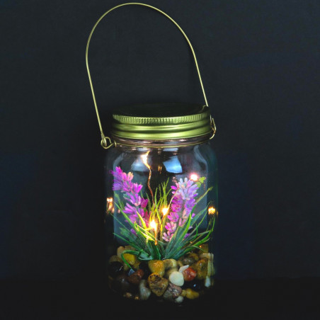 Mason jar succulente lumineuse